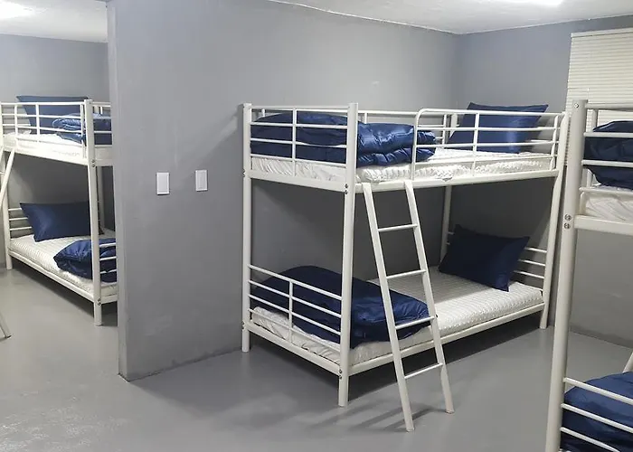 Hostel Forest