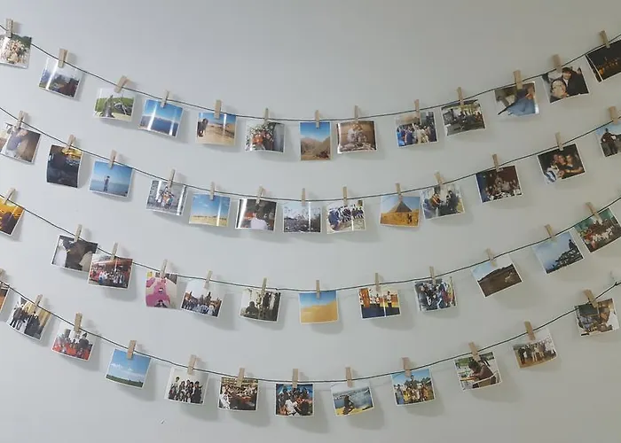 Forest Hostel Seoul