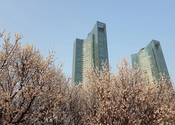 Forest Seoul