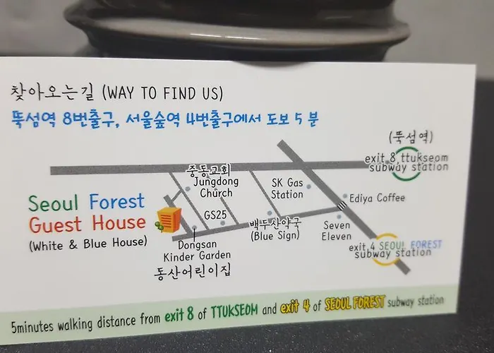 Forest Seoul