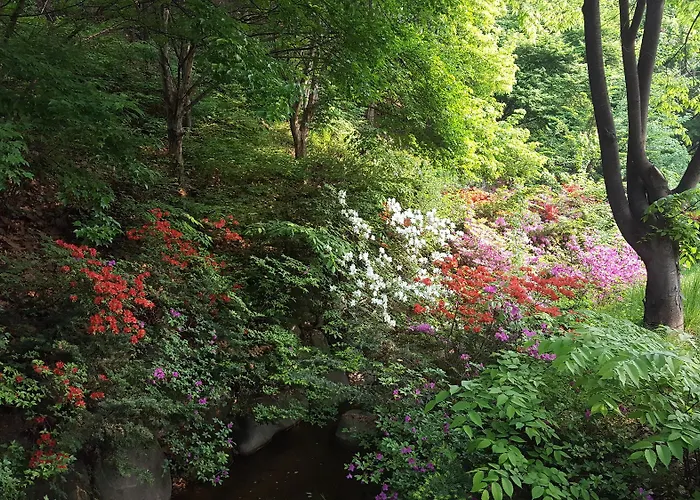 Hostel Forest Seoul