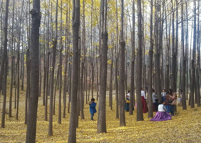 Forest *
