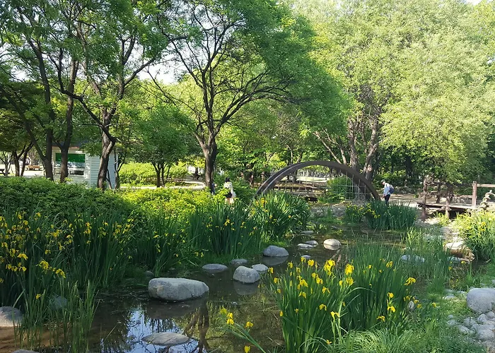 Forest * Seoul